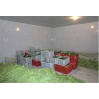 保鲜冷库|蔬菜冷库|蔬菜保鲜库